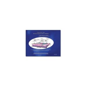 Pack Alps - Tectonic & metamorphic maps + Booklet Faces of The Alps