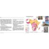The changing faces of Africa