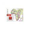 International metallogenic map of Africa-PDF