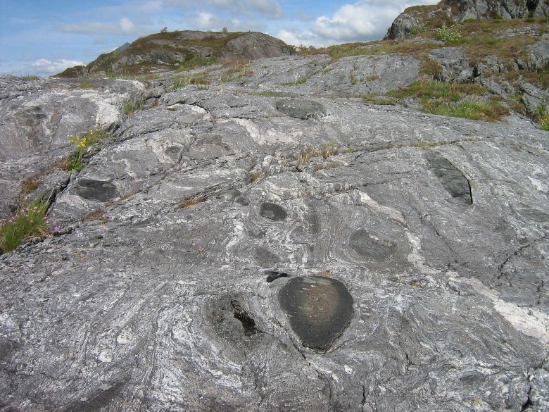 Several lenses of eclogite or other basic rocks embedded in the host gneiss.
