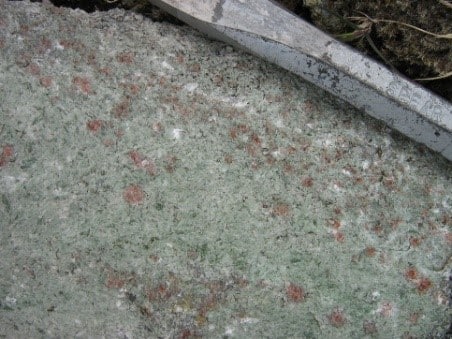 coesite eclogite in Norway